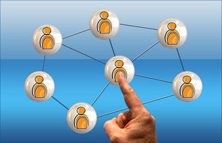 乐鱼体育在线下载-世界足球推广：南南合作助力新兴市场崛起，南亚足球强国