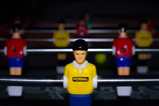 乐鱼体育app-世界足球赛事的多彩幕后：球迷、志愿者的故事，足球志愿者招募