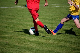 乐鱼体育-篮球训练计划科学制定与执行效果评估，篮球训练计划制定与范例