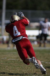 乐鱼体育在线官网-英超教练利用人工智能辅助赛前对手情报分析，2021英超教练