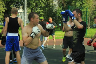 乐鱼体育官网注册-英超球队赛季中期体能负荷动态调整策略，英超球员身体素质