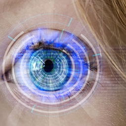 乐鱼体育app官网入口-训练负荷科学监测，训练负荷诊断